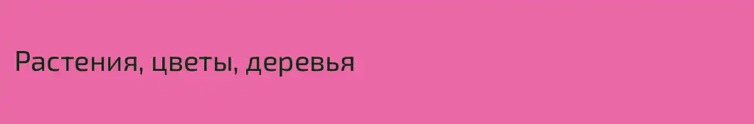 Растения, цветы, деревья